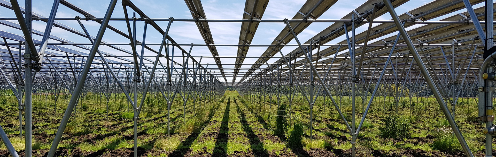 Rural solar energy business