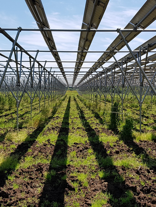 Rural solar energy business