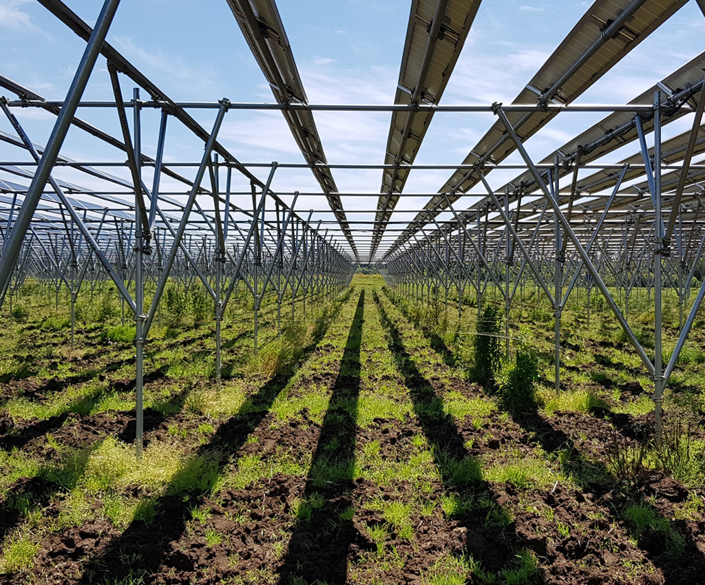 Rural solar energy business